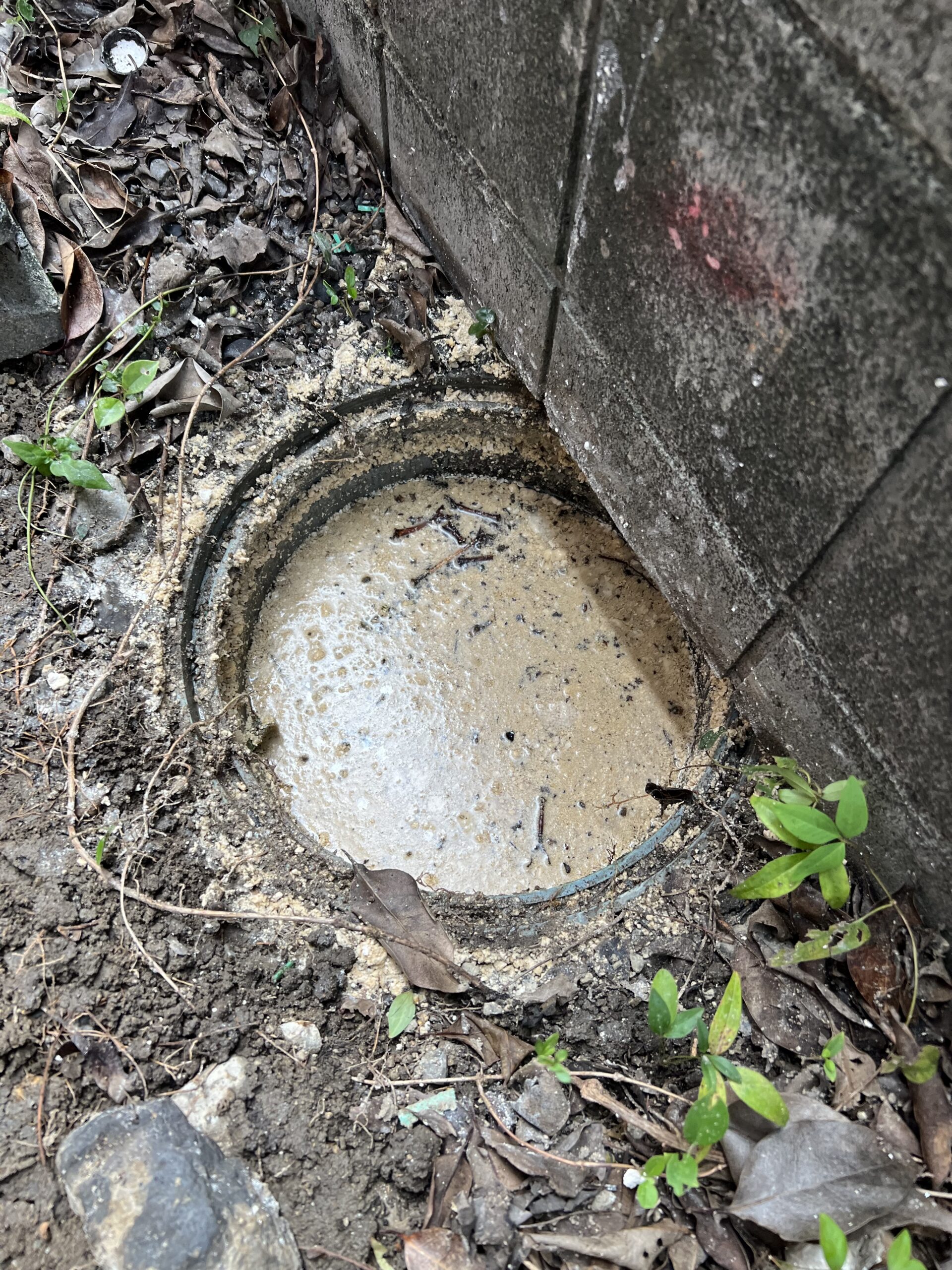 草津市でキッチン排水マスが油汚れであふれている施工前写真1