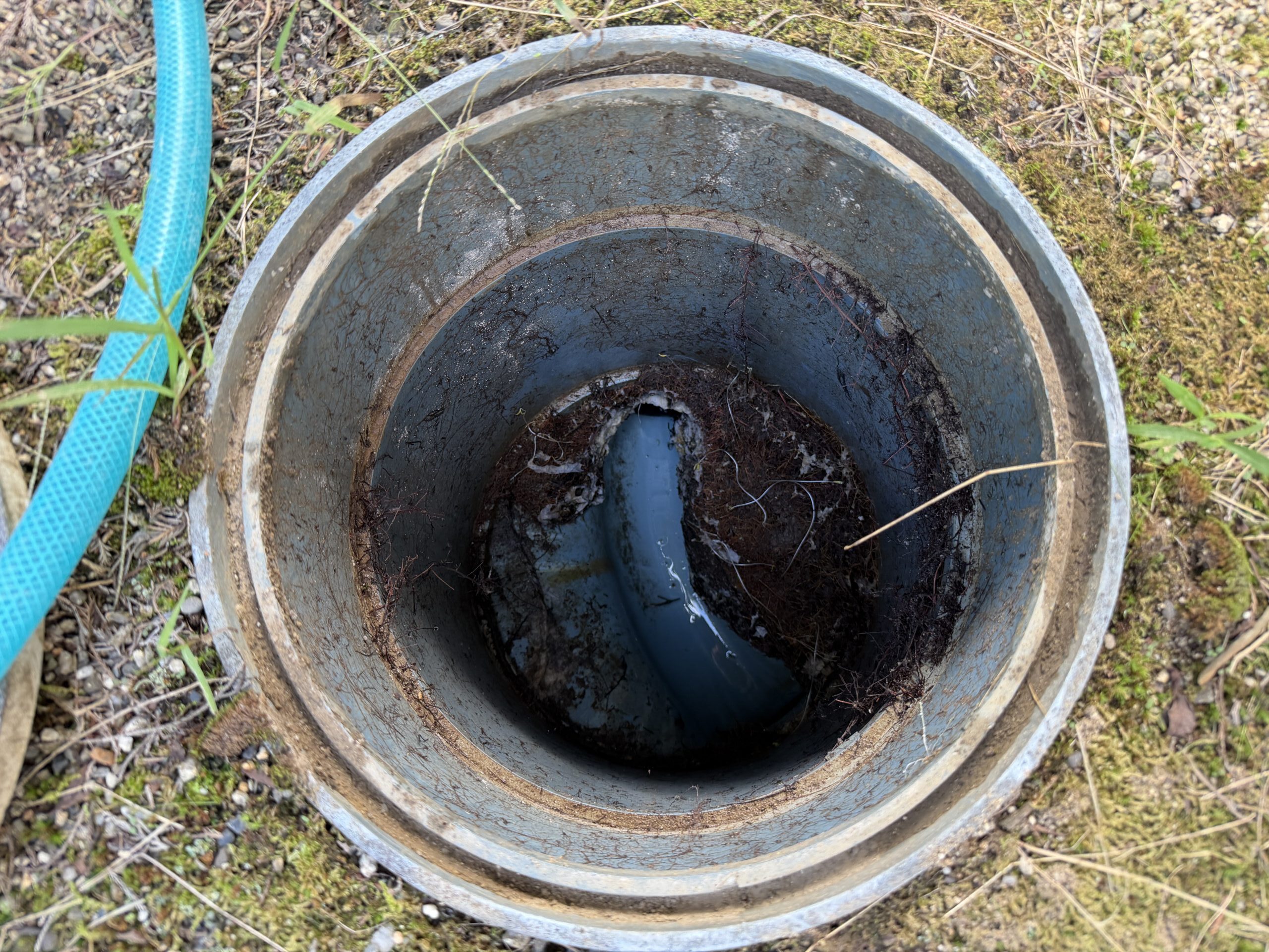 木の根による排水つまりが発生していた栗東市の排水マス施工前写真③